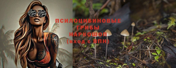 МДПВ Михайловск