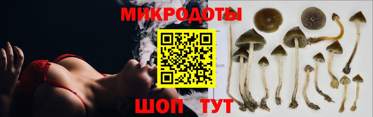 Галлюциногенные грибы прущие грибы  Благовещенск 